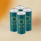 SPARKLING ON THE GO (4-PACK)